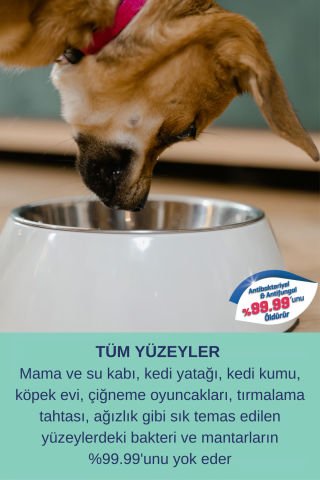 Alerji Koku Giderici Parfümsüz Dezenfektan Etkili Yatak Kulübe Kafes Oyuncak Yüzey Temizleyici 5L