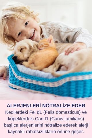 Çiş Koku Alerji Giderici Dezenfektan Etkili Kedi Kumu Köpek Evi Günlük Yüzey Temizleyici Sprey Seti