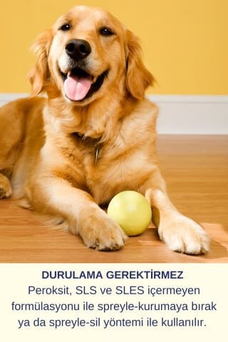 Çiş Koku Alerji Giderici Dezenfektan Etkili Kedi Kumu Köpek Evi Günlük Yüzey Temizleyici Sprey Seti