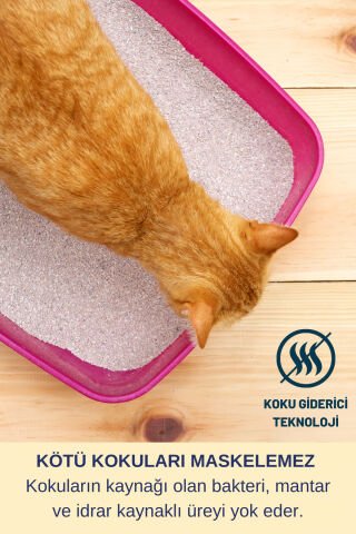Antibakteriyel Parfümsüz Kedi Kumu ve Tuvaleti Koku Giderici Köpek Çiş Alerji Hijyen Spreyi 200ml
