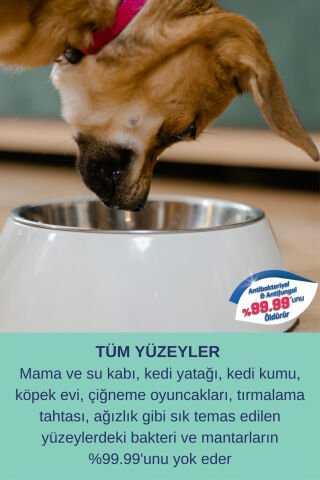 Antibakteriyel Parfümsüz Kedi Kumu ve Tuvaleti Koku Giderici Köpek Çiş Alerji Hijyen Spreyi 200ml