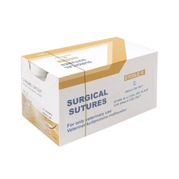 Chrome Katgüt 3 ve 4 Numara