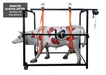 Selvet Katlanır Seyyar Travay