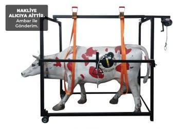 Selvet Katlanır Seyyar Travay