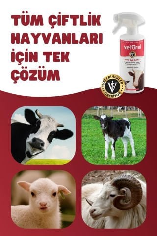 Göz Bakım İnek Koyun Çiftlik Hayvanı Göz Kızarıklığı Konjonktivit Bakımı Mukus Yıkama Spreyi 500ml