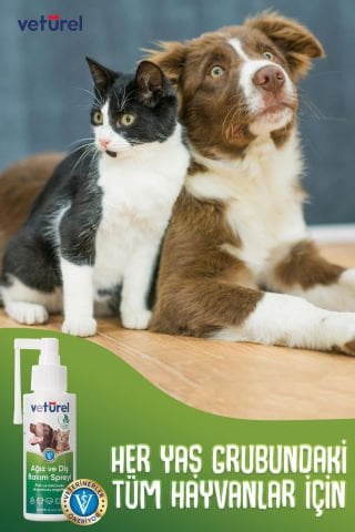 Günlük Kedi Ağız Kokusu Giderici Diş Eti Yarası Plak Tartar Önleyici Köpek Ağız Kokusu Sprey 3x100ml