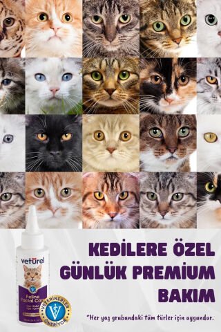Günlük Kedi Yüz Temizleme Kulak Burun Göz Ağız Çene Aknesi Gözyaşı Lekesi Bakım Spreyi 3x100ml