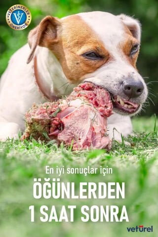 Kedi Ağız Bakımı Köpek Ağız Kokusu Diş Eti Yarası Enfeksiyonu Doğal Ağız ve Diş Bakım Spreyi 100ml