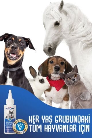 Kedi Göz Temizleme Solüsyonu Köpek Alerji Kızarıklık Enfeksiyon Gözyaşı Bakımı Göz Damlası 100ml