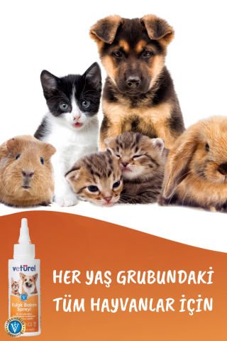 Köpek Kulak Temizleme Solüsyonu Kedi Kulak Uyuzu Kir Enfeksiyon Kaşıntı Koku Önleyici Damla 2x100ml