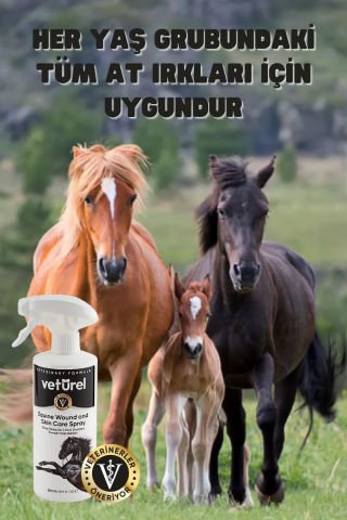 At Yara ve Deri Bakım Binicilik Tımar Tahriş Tırnak Nal Çakımı Enfeksiyon At Bakımı 1000ml Refil