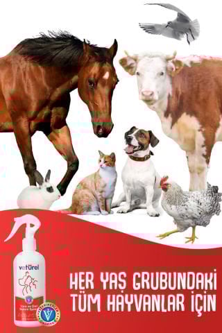 Kedi Köpek Yara Deri Günlük Bakımı Saf Hipokloröz Yanık Kızarıklık Tahriş Hot Spot Yara Spreyi 300ml