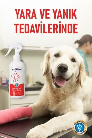Kedi Köpek Yara Deri Günlük Bakımı Saf Hipokloröz Yanık Kızarıklık Tahriş Hot Spot Yara Spreyi 300ml