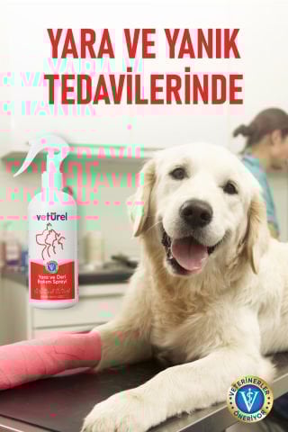 Kedi Köpek Yara Deri Günlük Bakımı Saf Hipokloröz Yanık Kızarıklık Tahriş Hot Spot Yara Spreyi Refil