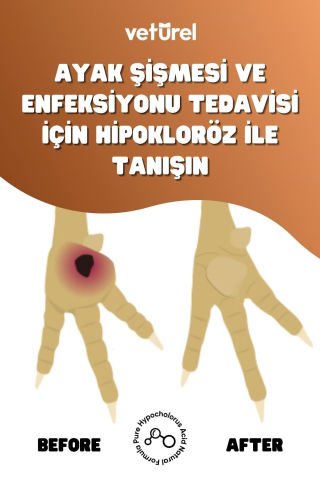 Veturel Kanatlı Hayvan Bakım Spreyi 500ML